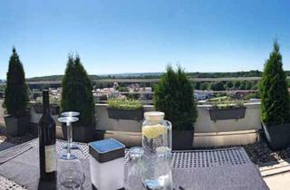 Penthouse mieten in 71067 Sindelfingen, Penthousewohnung mit zwei Dachterrassen am Waldrand