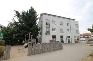 Wohnung mieten in Rathausplatz, 64560 Riedstadt, Helle gepflegte 3 Zimmer Wohnung in Riedstadt Goddelau