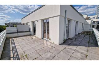 Wohnung mieten in In Den Alboingärten 21, 12103 Schöneberg, Helles Dachgeschossapartment mit Terrasse/Einbauküche/Dusch- und Wannenbad