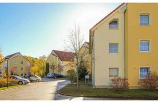 Wohnung mieten in 01468 Moritzburg, Wohnen, wo andere Urlaub machen – Charmante 2-Raumwohnung mit Terrasse in Moritzburg