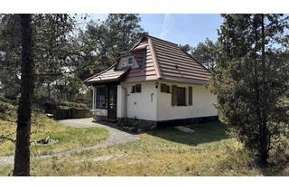 Haus kaufen in 18565 Insel Hiddensee, Insel Hiddensee - saniertes Haus in der Heide