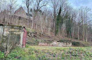 Villa kaufen in 09350 Lichtenstein, Neubau Stadtvilla - Ihr neues Zuhause in bester Lage