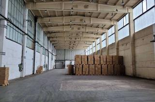 Gewerbeimmobilie mieten in Ludwigsluster Chaussee, 19370 Parchim, Moderne Lager- und Produktionsflächen