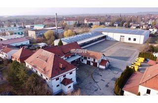 Gewerbeimmobilie kaufen in 99625 Kölleda, antaris Immobilien GmbH ** Eigennutz oder Kapitalanlage ....Gewerbeareal zu verkaufen