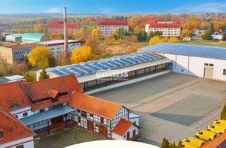 Gewerbeimmobilie kaufen in 99625 Kölleda, antaris Immobilien GmbH ** Eigennutz oder Kapitalanlage ....Gewerbeareal zu verkaufen