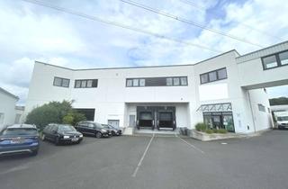 Gewerbeimmobilie kaufen in 63741 Strietwald, 8.561 m² große Hallen-Büro-Kombination zur Selbstnutzung oder Neuvermietung