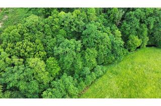 Grundstück zu kaufen in 53804 Much, Waldgrundstück in Much – Idyllisches Mischwaldareal in attraktiver Lage