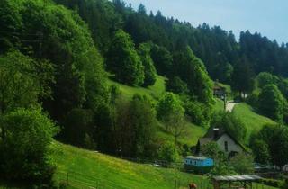 Grundstück zu kaufen in Kanderstraße, 79429 Malsburg-Marzell, Bauen Sie hier naturnah Ihr Einfamillienhaus mit ELR - Förderung