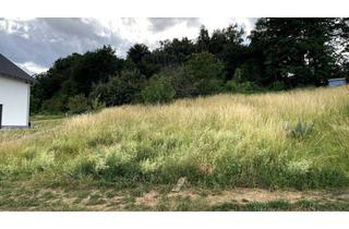 Grundstück zu kaufen in An Der Roten Hohl, 56220 Bassenheim, Traumgrundstück am Sonnenhang