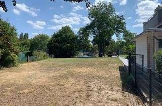 Grundstück zu kaufen in 76467 Bietigheim, Top Gelegenheit: Bauplatz für EFH/MFH in Nähe Murgpark