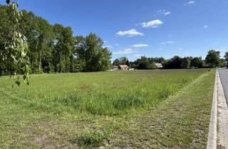 Grundstück zu kaufen in Pestalozzistraße, 03159 Döbern, Investitionschance mit Potential im Grünen - 10.000 m² flexibel nutzbare Mischbaufläche