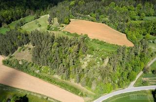 Grundstück zu kaufen in 92262 Birgland, Forst- und Ackerfläche in Fürnried – über 2 ha Naturgrundstück in ruhiger Lage