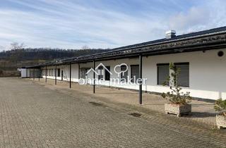 Gewerbeimmobilie kaufen in 31061 Alfeld, Für Investoren: vermietete Gewerbeimmobilie, 1800qm Hallen, 6.500qm Grundfläche