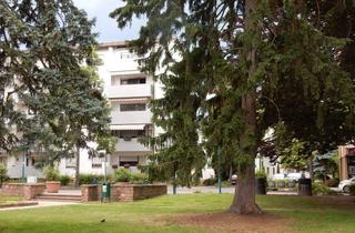 Wohnung mieten in Bahnhofstraße, 68766 Hockenheim, +++ Drei-Zimmer-Wohnung mit Balkon in Hockenheim +++ Nähe Wasserturm +++
