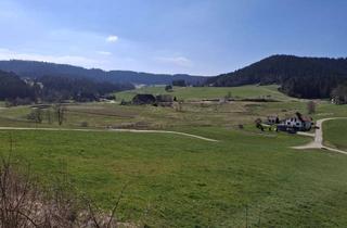 Haus kaufen in 78730 Lauterbach, Bauplatz mit Baugenehmigung für Schwarzwaldhaus in Traumlage