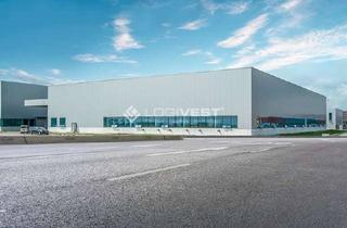 Gewerbeimmobilie mieten in 06846 Siedlung, Attraktive Logistikfläche in direkter Nähe zur A9!