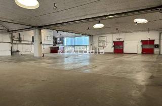 Gewerbeimmobilie kaufen in 34355 Staufenberg, Staufenberg, ca. 3.600 m² Hallenfläche zu verkaufen