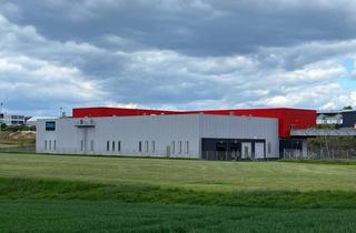 Gewerbeimmobilie kaufen in 72535 Heroldstatt, Beeindruckendes, großes u. modernes Gewerbeobjekt mit großen Expansionsflächen in Heroldstatt