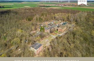 Gewerbeimmobilie kaufen in 38259 Flachstöckheim, Salzgitter-Flachstöckheim: Großzügiges Gewerbegrundstück umgeben von eigenem Wald!