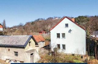 Einfamilienhaus kaufen in 01445 Radebeul, Radebeul - EINFAMILIENHAUS IN HÖHENLAGE VON RADEBEUL MIT FERIENHAUSOPTION
