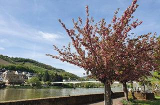 Haus kaufen in 56814 Bruttig-Fankel, Bruttig-Fankel - Charming house with Mosel view