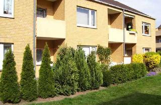 Wohnung mieten in Berliner Straße 97, 23879 Mölln, Nur für Senioren! Lichtdurchflutete 1,5-Zimmer-Wohnung in Mölln