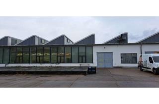 Gewerbeimmobilie mieten in Blockdammweg 39-59, 10318 Karlshorst, Halle mit heller Servicefläche auf Gewerbehof in Karlshorst