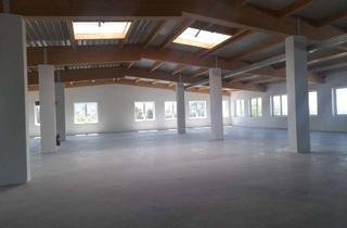 Gewerbeimmobilie mieten in 73235 Weilheim, TOP Gewerbefläche mit Blick auf Feldern und Wiesen
