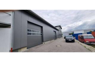 Büro zu mieten in Sudetenstr, 85635 Höhenkirchen-Siegertsbrunn, Halle als Lager oder Produktion mit Büro im 1.OG