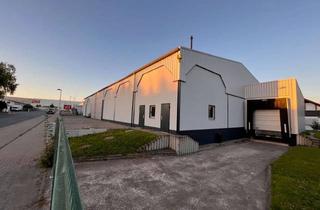 Gewerbeimmobilie mieten in Insterburgerstraße, 37574 Einbeck, Moderne Lagerhalle in zentraler Lage Einbecks zu vermieten