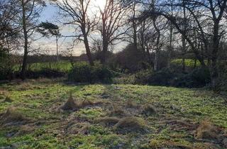 Grundstück zu kaufen in Hauptstr. 29a, 24405 Mohrkirch, Baugrundstück in Mohrkirch mit Altbestand, positiver Bauvorbescheid liegt vor!