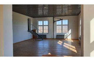 Büro zu mieten in Rudolf-Breitscheid-Str. 23, 01809 Heidenau, Büro/Lager mit Loft-Charakter, hochwertig saniert, Stadtgrenze DD/Heidenau