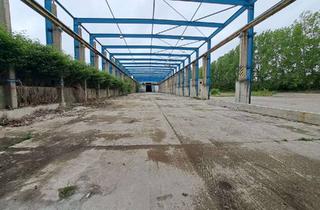 Gewerbeimmobilie mieten in Mittelhöfer Straße 17, 34587 Felsberg, Großzügige, befestigte Freifläche in verkehrsgünstiger Lage – bis zu 10.000 m² zur Miete in Felsberg