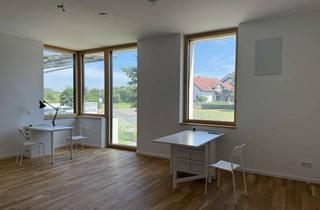 Wohnung kaufen in Brandhof 19, 79227 Schallstadt, 1-Zimmer-Wohnung im Hochparterre der Klimahäusern in Schallstadt