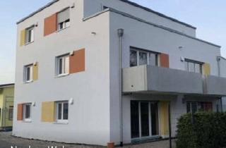 Wohnung mieten in Brückenwiesenweg 29a, 76316 Malsch, ZWISCHENMIETER GESUCHT: Neuwertige 3-Zimmer-Wohnung mit Balkon und EBK in Malsch