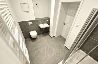 Wohnung mieten in Rogätzer Str. 28a, 39106 Alte Neustadt, Über den Dächern! Sonnige Dachterrasse! 2,5 Zimmer mit Parkett + Bad mit Du + Fenster + SP