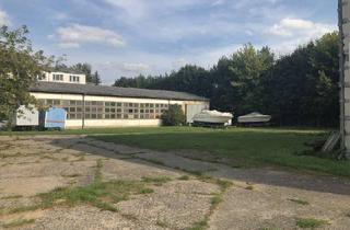 Gewerbeimmobilie mieten in Am Weidendamm 11-12, 16259 Bad Freienwalde, Produktions-/Lagerhalle in Bad Freienwalde