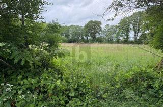Grundstück zu kaufen in 25355 Lutzhorn, FÜR ANLEGER ODER BAUTRÄGER