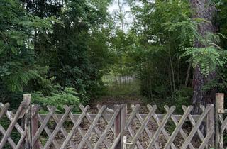 Grundstück zu kaufen in 14822 Borkheide, Hier beginnt Ihr neues Zuhause- Ihr Sehnsuchtsort für naturnahe Lebensqualität