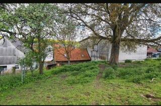 Bauernhaus kaufen in Lüderstr., 36179 Bebra, Bebra-OT, Landhaus + Pferdehof