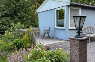 Grundstück zu kaufen in 01689 Weinböhla, Wunderschönes Gartengrundstück mit Bungalow in Gartensiedlung von Weinböhla