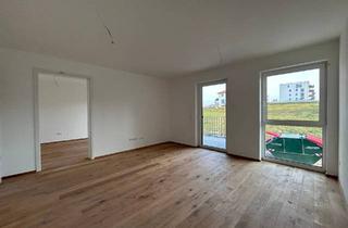 Wohnung kaufen in 74206 Bad Wimpfen, Bad Wimpfen - Kompakte und moderne 2,5-Zimmerwohnung Wohnung Nr. 5 im 1. OG