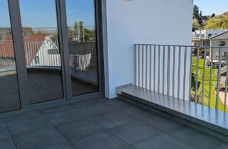 Penthouse kaufen in 77799 Ortenberg, Ortenberg - *Neubauprojekt - Erstbezug* Penthouse. 4-Zimmerwohnungen in Ortenberg!