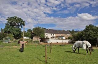 Bauernhaus kaufen in 54617 Lützkampen, Lützkampen - Bauernhof, Resthof, Pferdehaltung,Tierhaltung, Hundehaltung