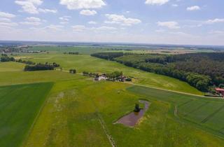 Haus kaufen in 19386 Lübz, Lübz - Exklusives Anwesen: Resthof, 5 ha Land, saniert, seperate 2 WE