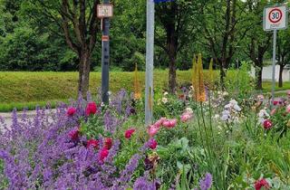Wohnung kaufen in 88339 Bad Waldsee, Charmante 3 Zimmer-Dachgeschoss-Wohnung mit kleinem Balkon in toller Lage und sofort bezugsfrei!
