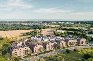 Wohnung kaufen in Im Fuchsbühl, 73773 Aichwald, Mit Weitblick: Barrierefreie 2-Zi-Dachterrassenwohnung - WE510