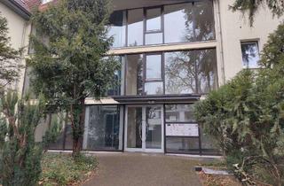 Wohnung mieten in Allerstraße 11, 38518 Gifhorn, Exklusive 2-Zimmer-Wohnung mit Balkon und Einbauküche in Gifhorn
