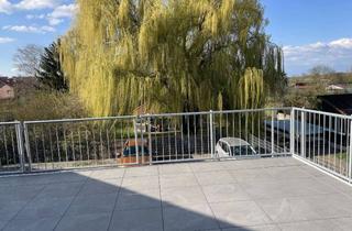 Wohnung mieten in 67596 Dittelsheim-Heßloch, Gemütliche Neubauwohnung mit großer Terasse