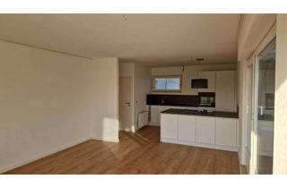 Penthouse mieten in Frankfurter-Str. 122-133, 63067 Kaiserlei, Stilvolle, neuwertige 2-Raum-Penthouse-Wohnung mit Balkon, EBK Und Tiefgaragenstellplatz